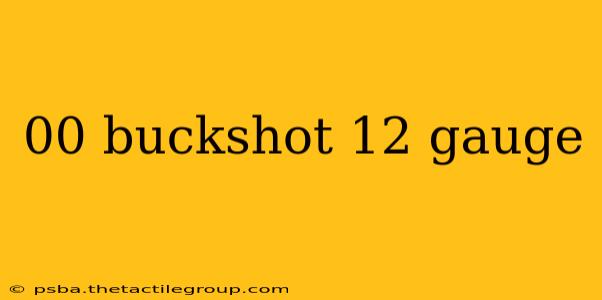 00 buckshot 12 gauge