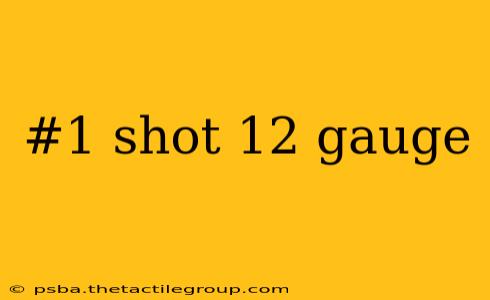 #1 shot 12 gauge