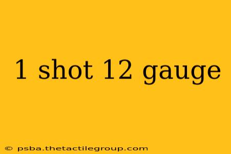 1 shot 12 gauge