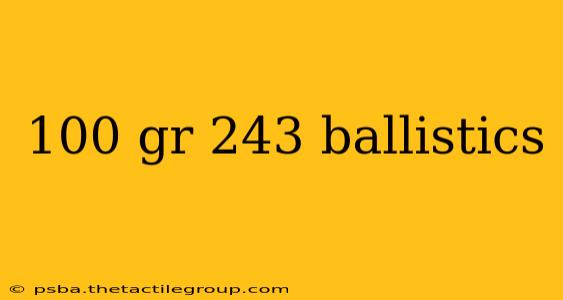 100 gr 243 ballistics