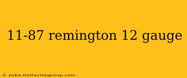 11-87 remington 12 gauge