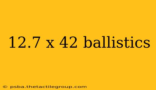 12.7 x 42 ballistics