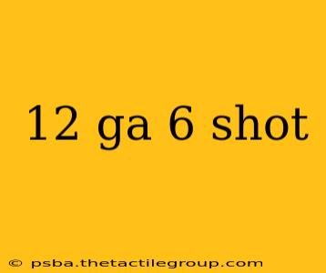 12 ga 6 shot