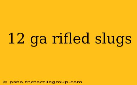 12 ga rifled slugs