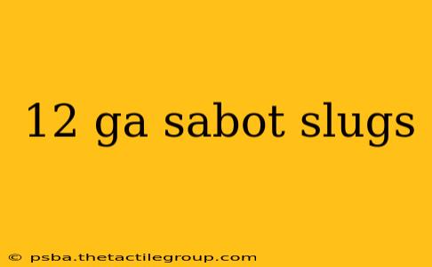 12 ga sabot slugs