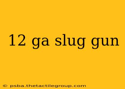 12 ga slug gun