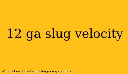 12 ga slug velocity