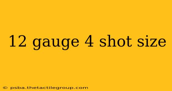 12 gauge 4 shot size