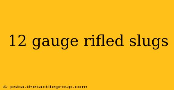 12 gauge rifled slugs