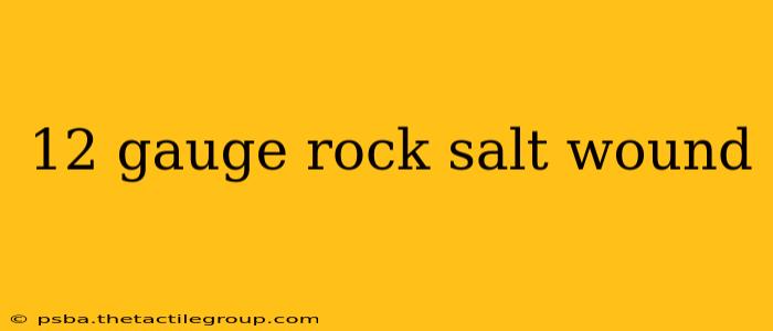 12 gauge rock salt wound