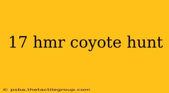 17 hmr coyote hunt