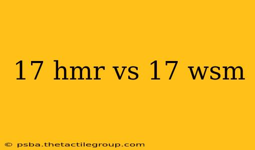 17 hmr vs 17 wsm