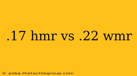 .17 hmr vs .22 wmr