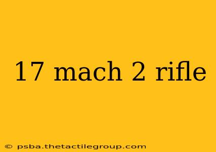 17 mach 2 rifle