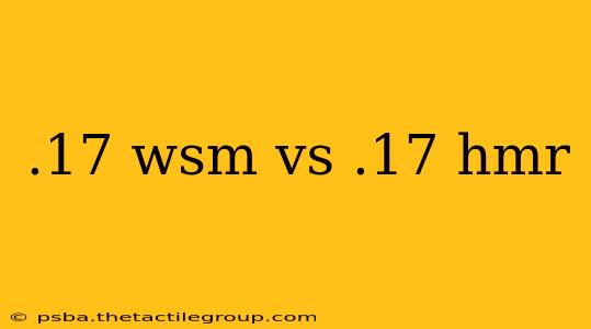 .17 wsm vs .17 hmr