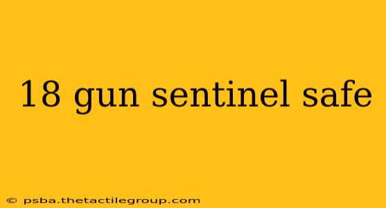 18 gun sentinel safe