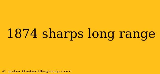 1874 sharps long range