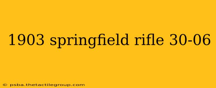 1903 springfield rifle 30-06