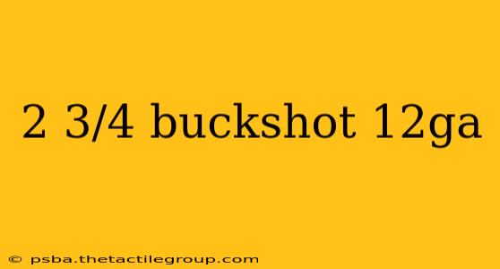 2 3/4 buckshot 12ga