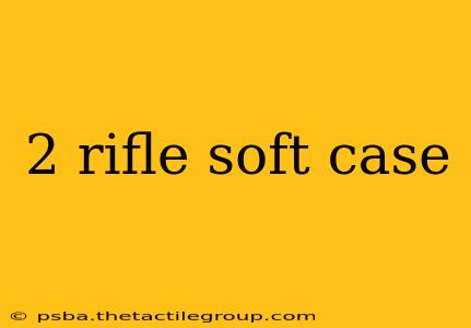 2 rifle soft case