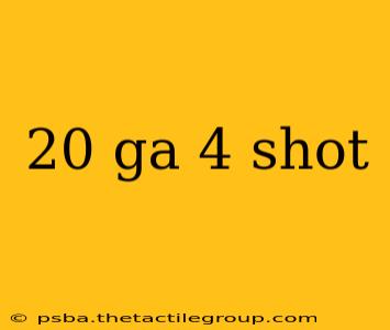 20 ga 4 shot