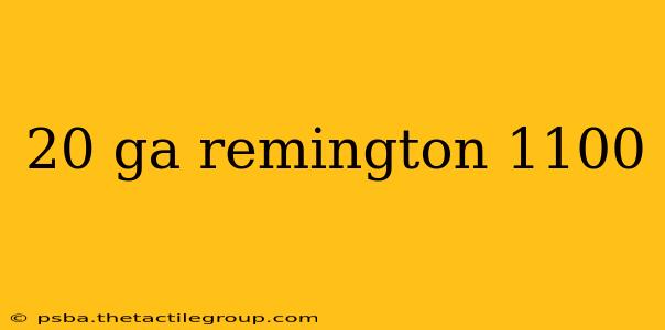 20 ga remington 1100