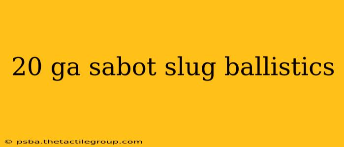 20 ga sabot slug ballistics