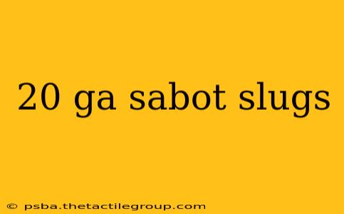 20 ga sabot slugs