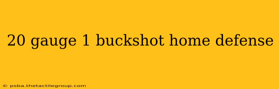 20 gauge 1 buckshot home defense