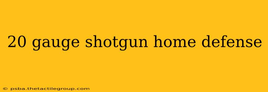 20 gauge shotgun home defense