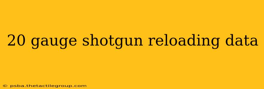 20 gauge shotgun reloading data