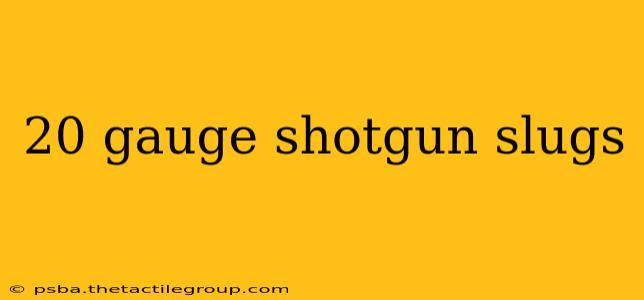 20 gauge shotgun slugs