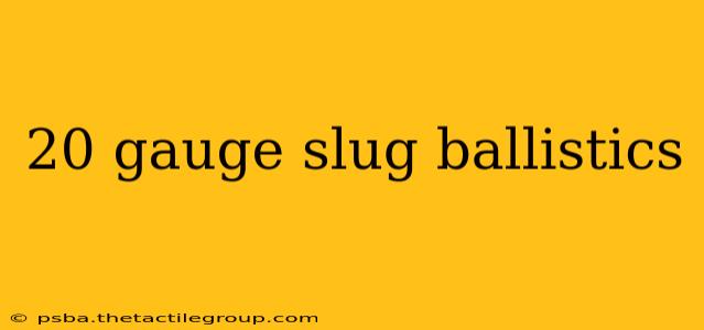 20 gauge slug ballistics