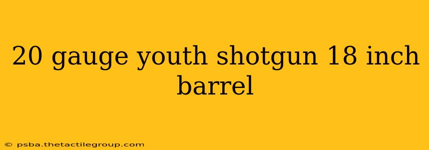 20 gauge youth shotgun 18 inch barrel