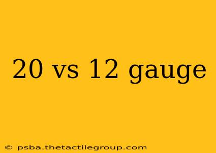 20 vs 12 gauge