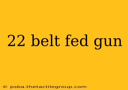 22 belt fed gun