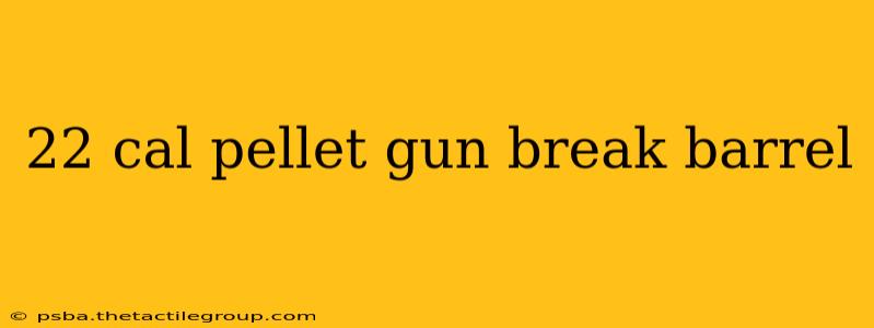 22 cal pellet gun break barrel