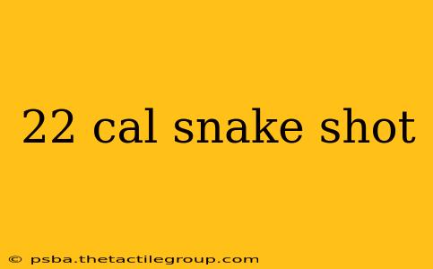 22 cal snake shot