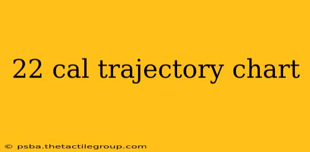 22 cal trajectory chart