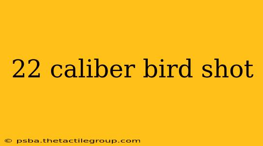 22 caliber bird shot