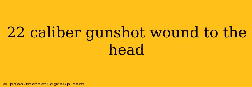 22 caliber gunshot wound to the head