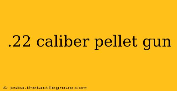 .22 caliber pellet gun