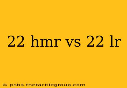 22 hmr vs 22 lr