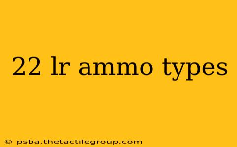 22 lr ammo types