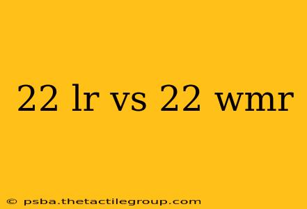 22 lr vs 22 wmr