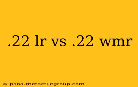 .22 lr vs .22 wmr