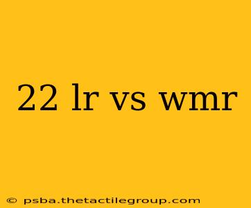 22 lr vs wmr