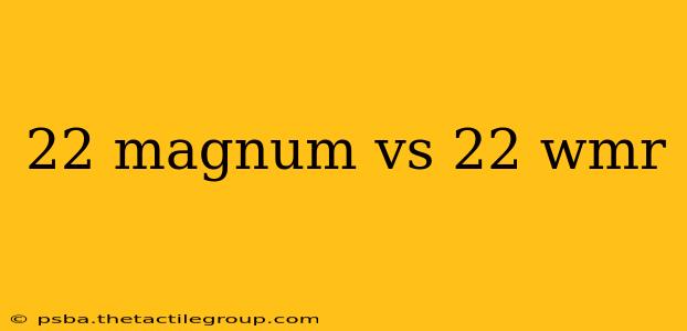 22 magnum vs 22 wmr