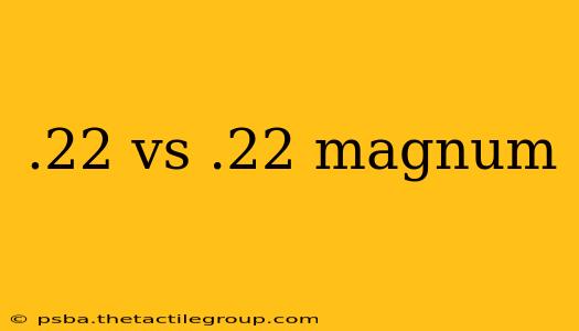 .22 vs .22 magnum