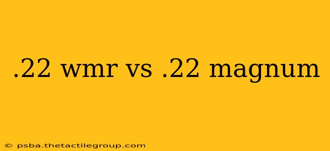 .22 wmr vs .22 magnum